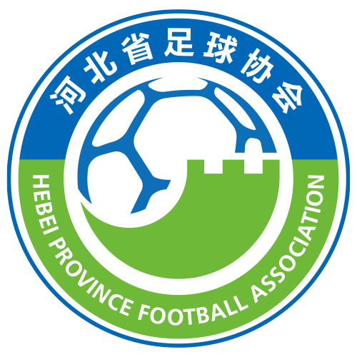 Hebei Snow Ruyi  Women Logo