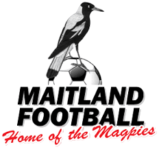 Maitland FC Women Logo