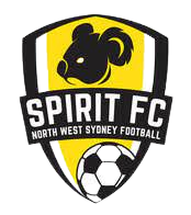 NWS Spirit Women Logo