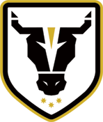 Bulls Academy Women Logo