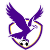 Boroondara Eagles Women Logo