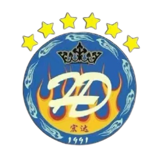 Hong Da Logo